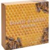 Sidabrinė moneta „Bičių medus – Gamtos malonė“ 1 oz