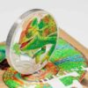 Sidabrinė moneta “Kerintis gyvenimas – Chameleonas”1 oz