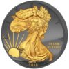 Sidabrinė moneta “Amerikos Erelis” (iš serijos Golden Enigma)