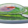 Sidabrinė moneta „Boružė – paslapties sodas” 17.50 g