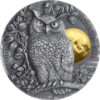 Sidabrinė moneta „Pelėda mėnulio šviesoje“ 2 oz