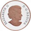 Sidabrinė moneta “Geriausi linkėjimai vestuvių proga, 2021” 1 oz