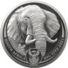 Sidabrinė moneta „Didysis Afrikos penketas – Dramblys II “ 1 oz