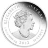 Sidabrinė moneta “Naujagimis (2022)”