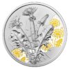 Sidabrinė moneta "Pienė" iš serijos "Gėlių kalba" 1/2 oz