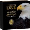 Sidabrinė moneta "Amerikos erelis mėnulio šviesoje" 2 oz