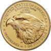 1 oz Auksinė moneta Amerikos Erelis (American Eagle) 2024 JAV
