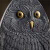 Silver coin "Short-eared Owl - MARVELOUS OWLS" 1 oz
