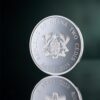 Silver coin " Year of the Snake Lunar Year" 15,55 g