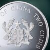 Silver coin " Year of the Snake Lunar Year" 15,55 g
