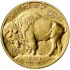 Auksinė moneta "Buivolas" (Buffalo) 2024, 1 oz