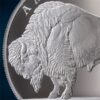 Sidabrinė moneta "Buffalo" 1 oz