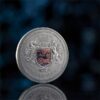 Silver coin "The Creator" Techno Totem United Crypto States 2 oz